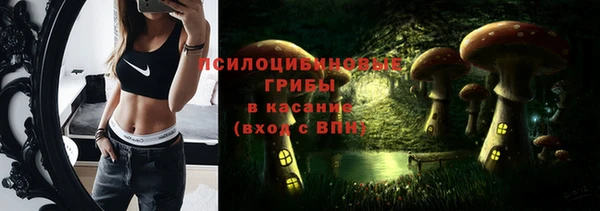 ПСИЛОЦИБИНОВЫЕ ГРИБЫ Алексин