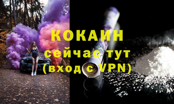дурь Арсеньев