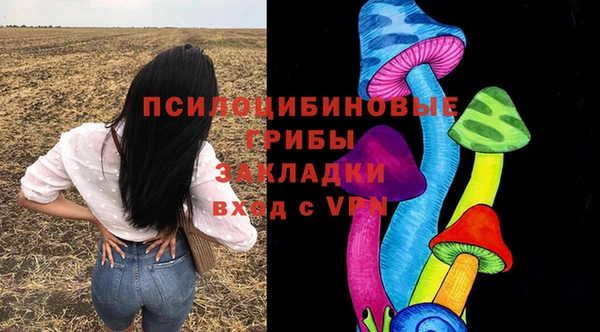 винт Армянск