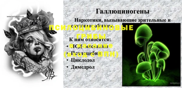 дурь Арсеньев