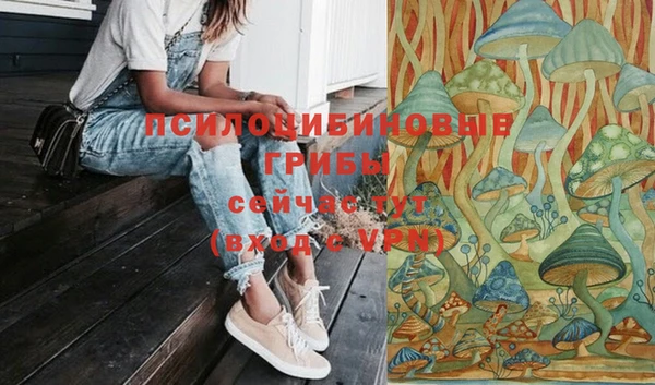 дурь Арсеньев
